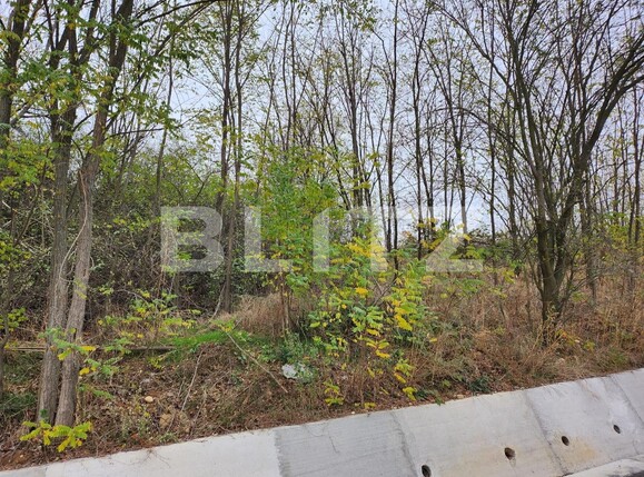 Teren de vânzare Hintesti - 130762TV | BLITZ Pitești | Poza2