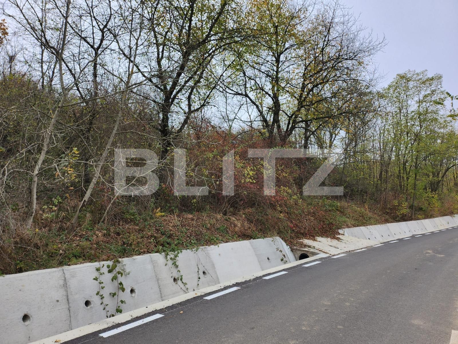 Teren de vânzare Hintesti - 130762TV | BLITZ Pitești | Poza3