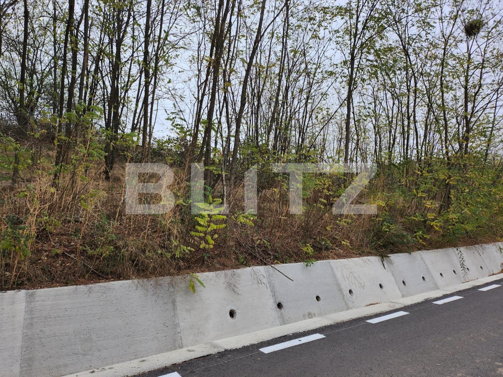 Teren de vânzare Hintesti - 130762TV | BLITZ Pitești | Poza4