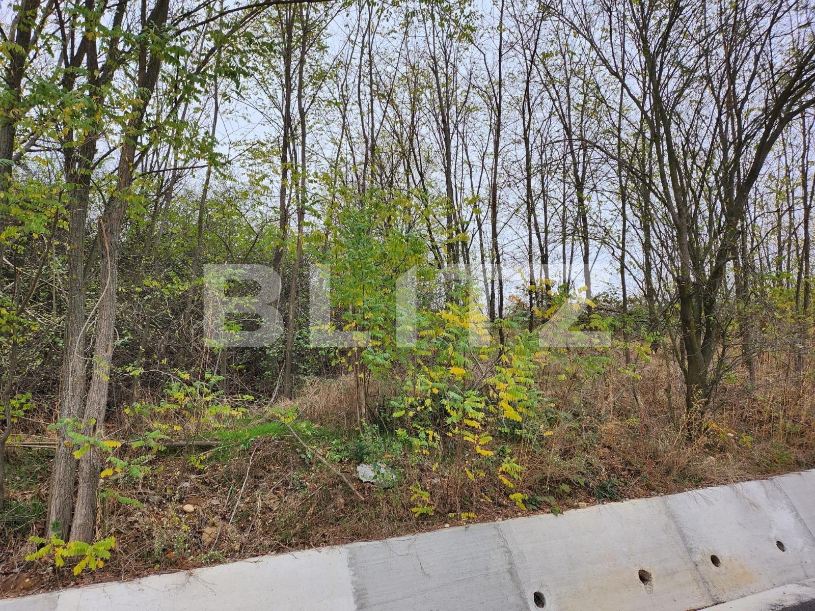 Teren de vânzare Hintesti - 130762TV | BLITZ Pitești | Poza2