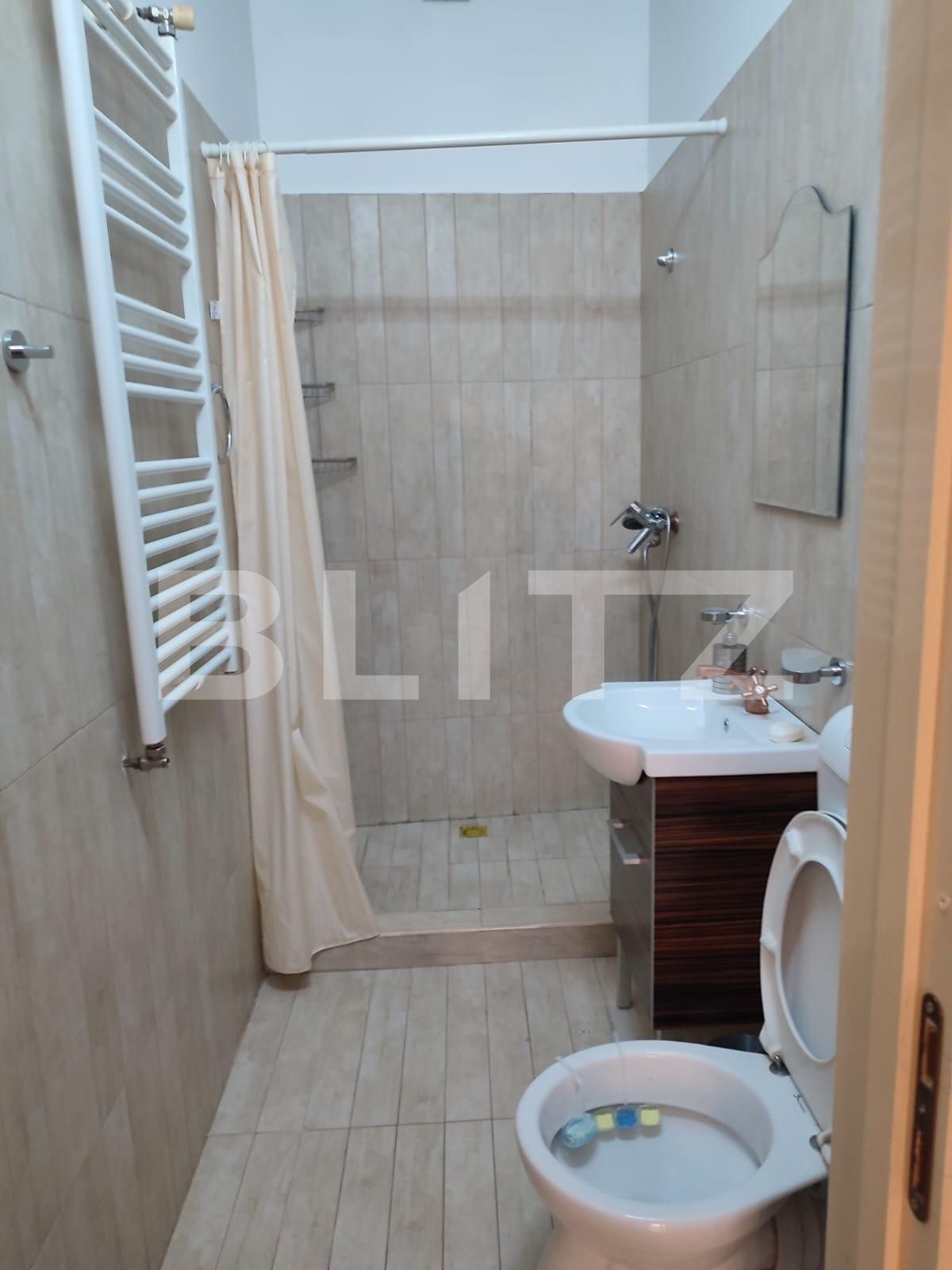 Spațiu comercial de închiriat Central - 130890SIC | BLITZ Pitești | Poza10