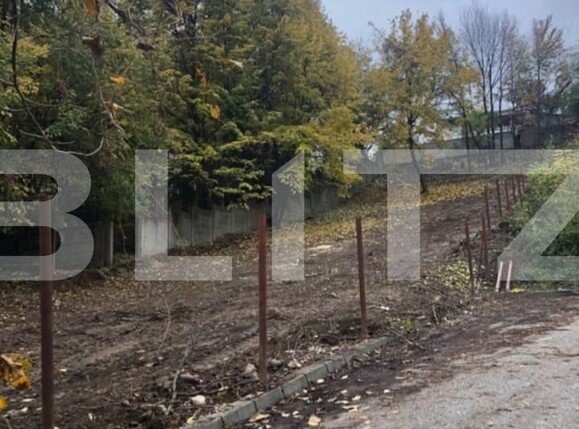 Teren de vânzare Fratii Golesti - 131182TV | BLITZ Pitești | Poza2