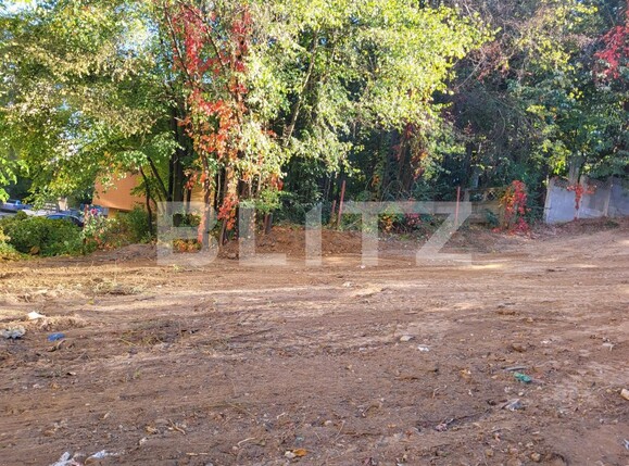 Teren de vânzare Fratii Golesti - 131182TV | BLITZ Pitești | Poza1