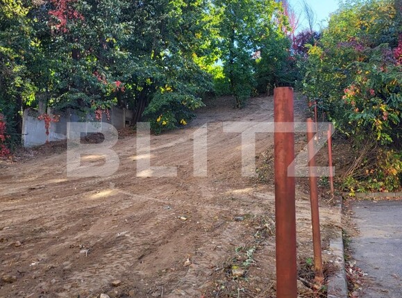 Teren de vânzare Fratii Golesti - 131182TV | BLITZ Pitești | Poza6