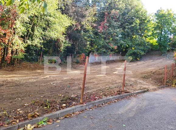 Teren de vânzare Fratii Golesti - 131182TV | BLITZ Pitești | Poza5