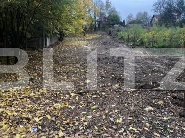 Teren de vânzare Fratii Golesti - 131182TV | BLITZ Pitești | Poza4