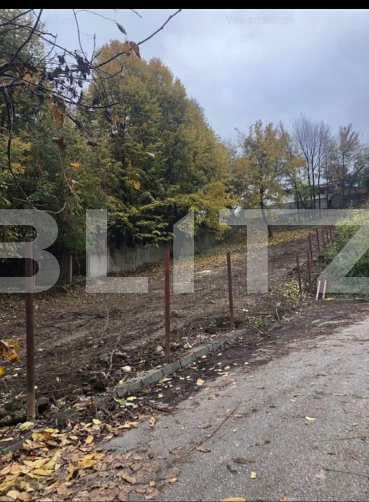 Teren de vânzare Fratii Golesti - 131182TV | BLITZ Pitești | Poza2