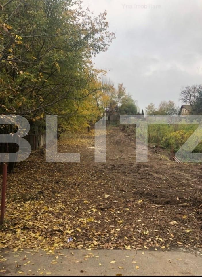 Teren de vânzare Fratii Golesti - 131182TV | BLITZ Pitești | Poza3