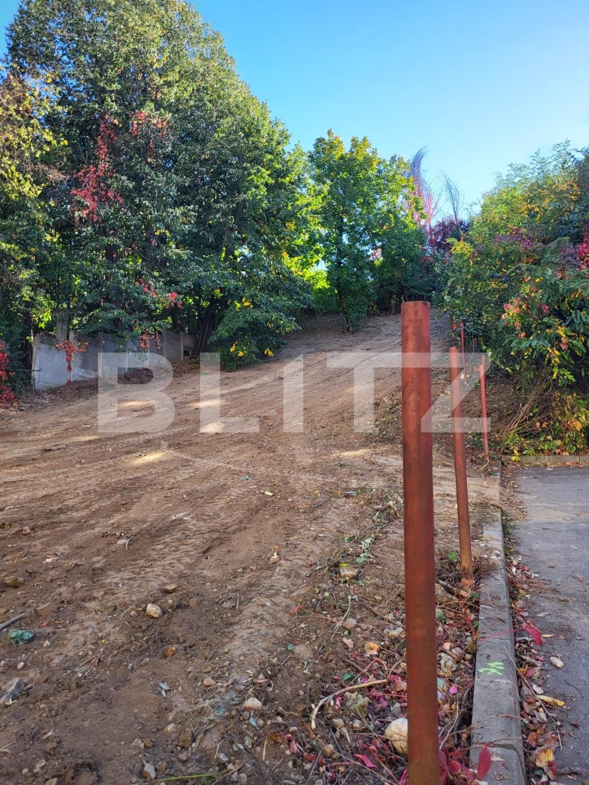 Teren de vânzare Fratii Golesti - 131182TV | BLITZ Pitești | Poza6