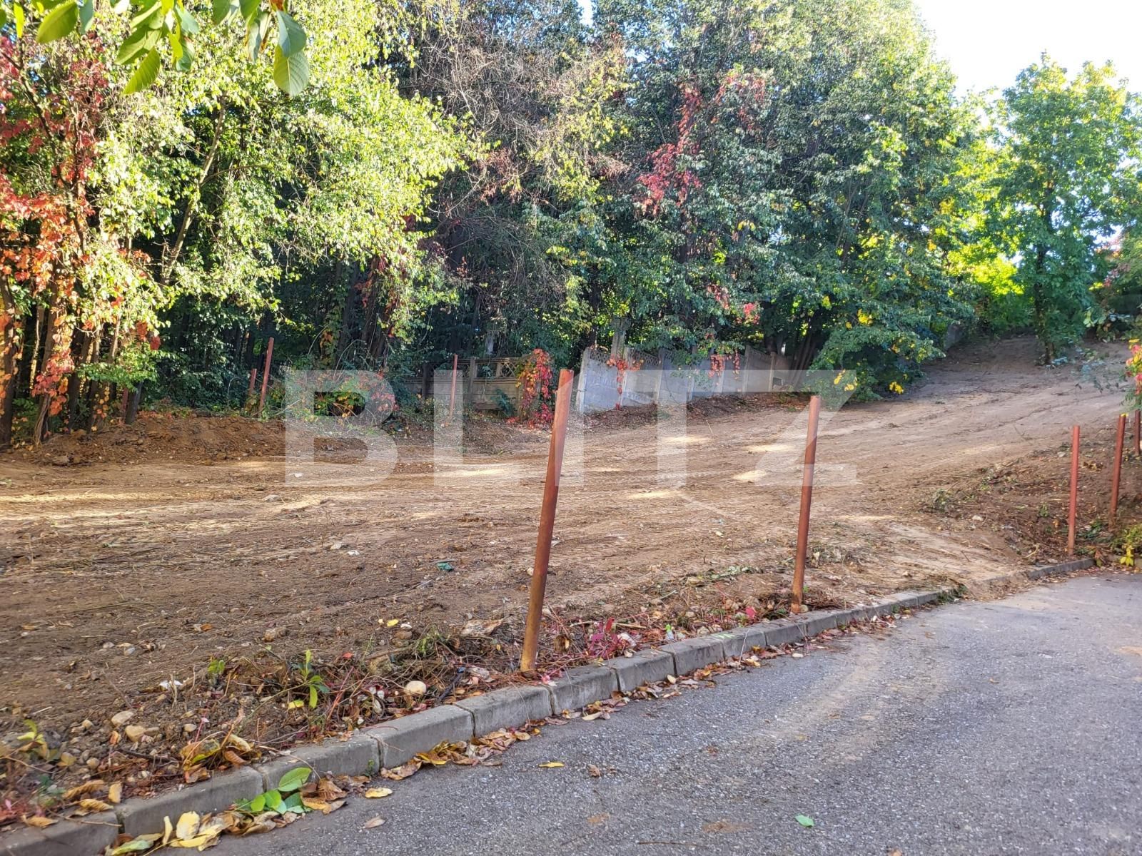 Teren de vânzare Fratii Golesti - 131182TV | BLITZ Pitești | Poza5