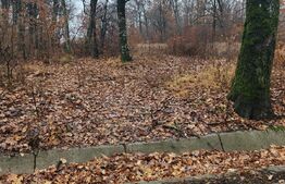 Padure de vanzare, 679 mp, Colina Verde - Smeura