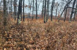 Padure de vanzare, 679 mp, Colina Verde - Smeura