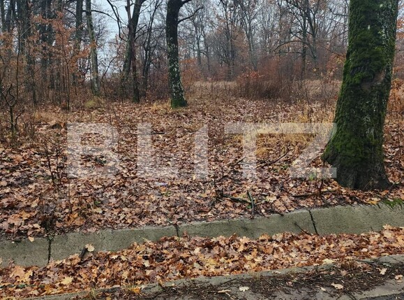 Teren de vânzare Smeura - 131977TV | BLITZ Pitești | Poza1