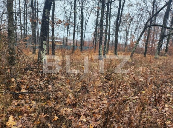 Teren de vânzare Smeura - 131977TV | BLITZ Pitești | Poza2