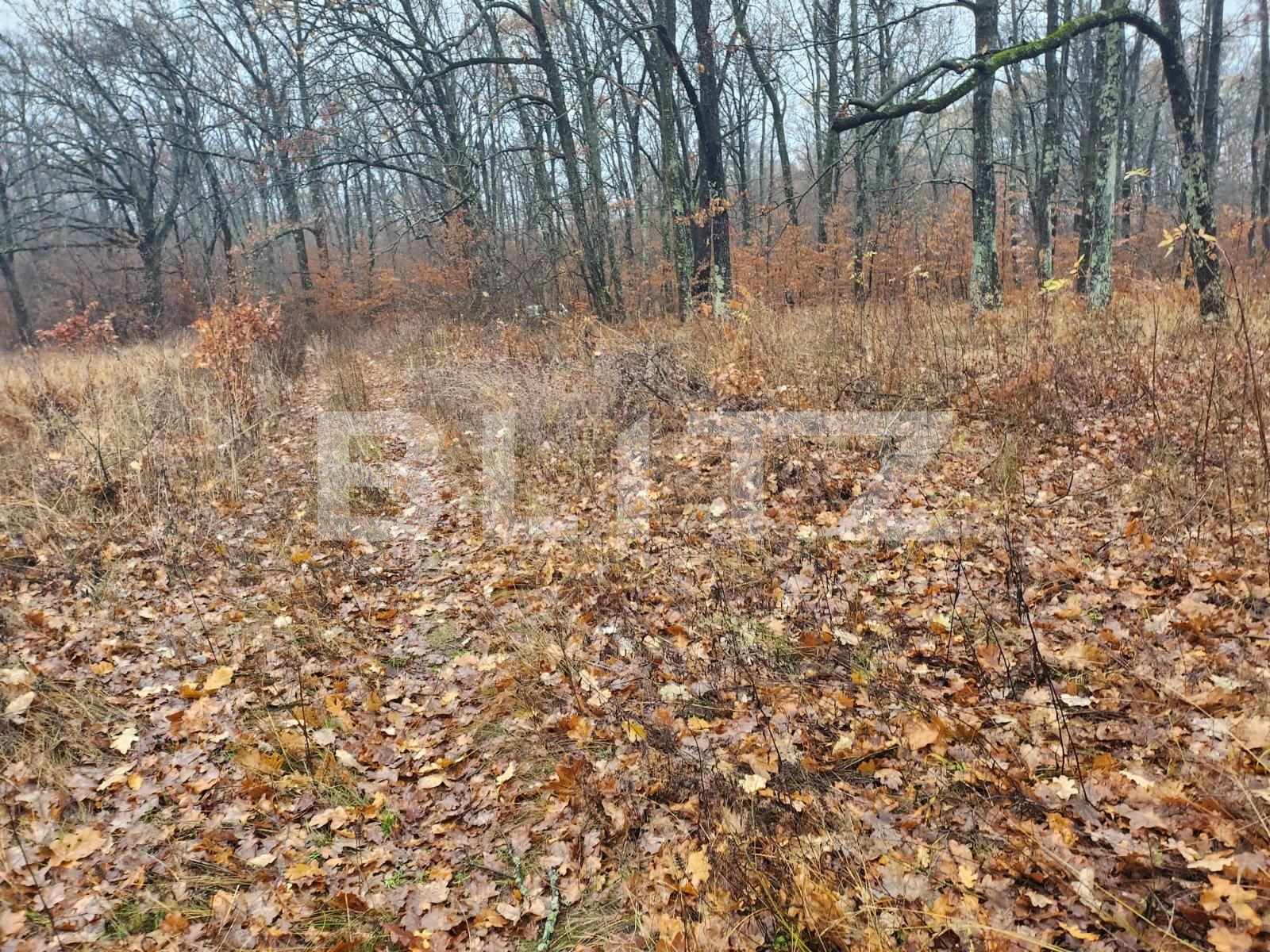 Teren de vânzare Smeura - 131977TV | BLITZ Pitești | Poza4