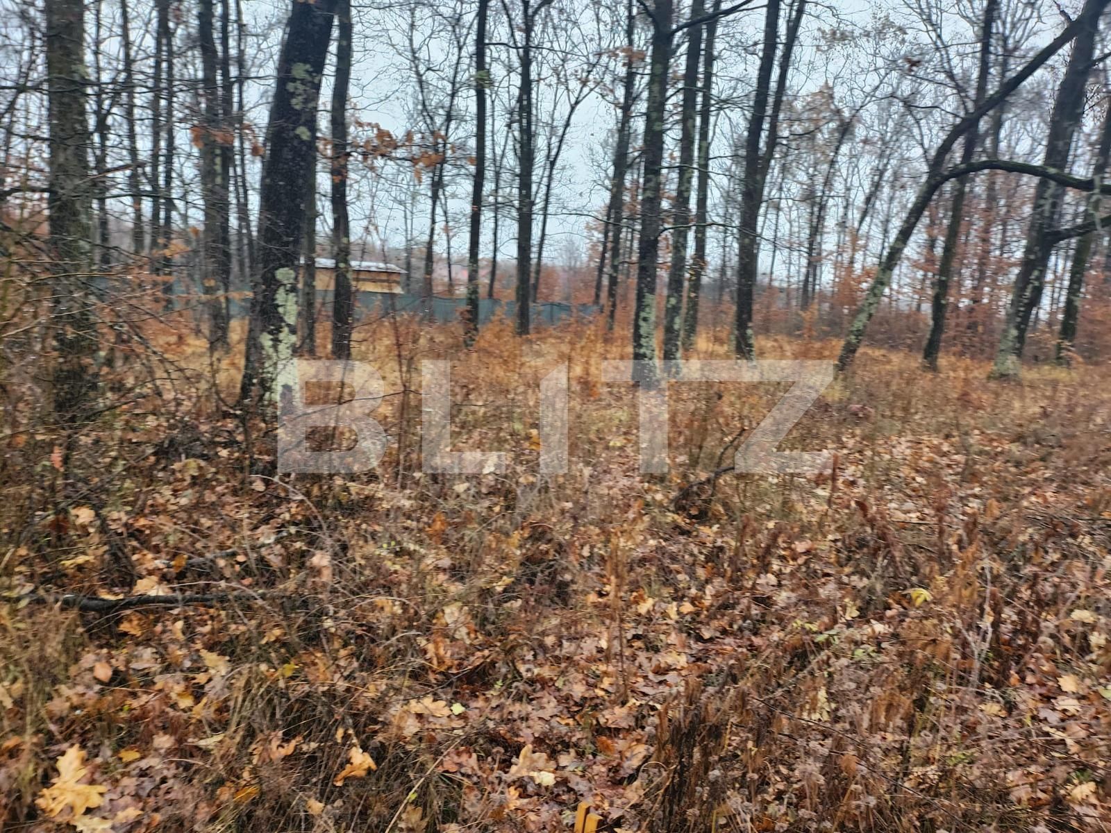 Teren de vânzare Smeura - 131977TV | BLITZ Pitești | Poza2