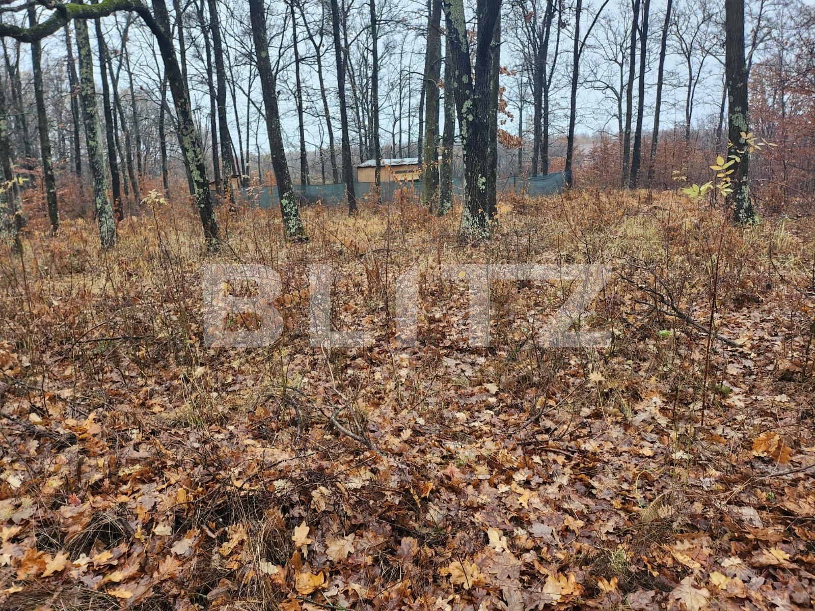 Teren de vânzare Smeura - 131977TV | BLITZ Pitești | Poza3