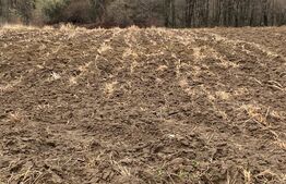 Teren 1500 mp, zona Mosoaia 