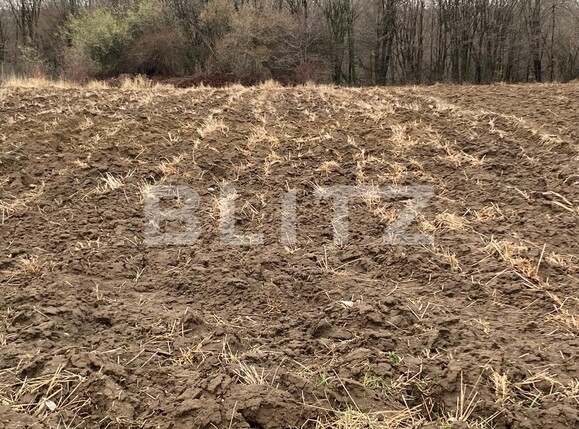 Teren de vânzare Smeura - 136899TV | BLITZ Pitești | Poza1