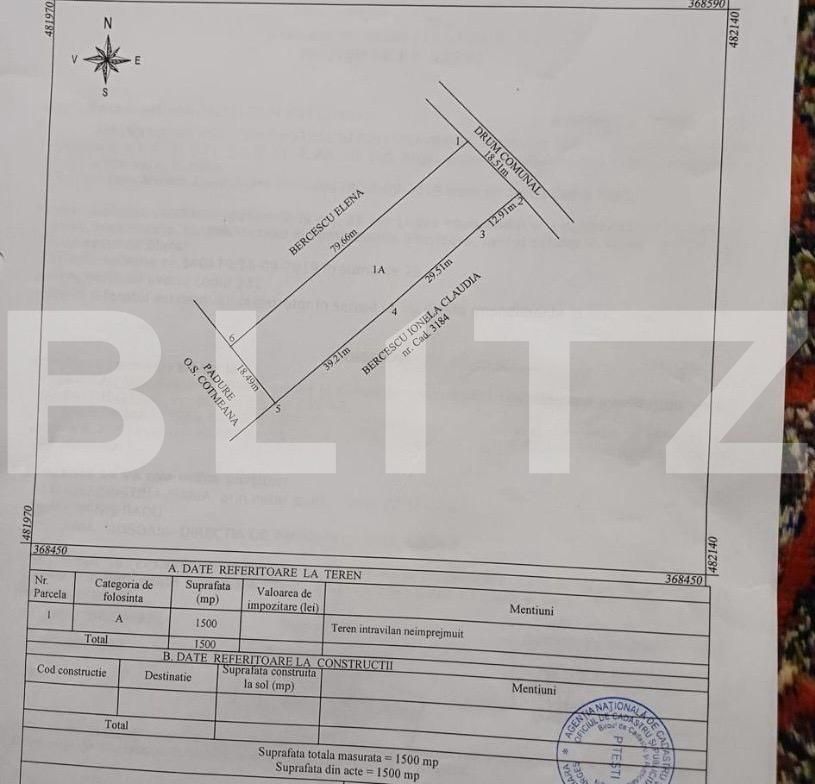 Teren de vânzare Smeura - 136899TV | BLITZ Pitești | Poza2