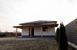 Casa de vanzare Mioveni, Pitești