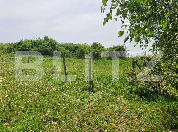 Teren de vânzare Periferie - 139103TV | BLITZ Pitești | Poza3