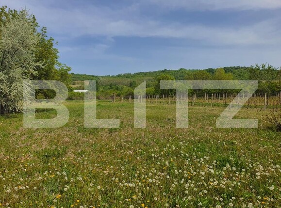 Teren de vânzare Periferie - 139103TV | BLITZ Pitești | Poza1