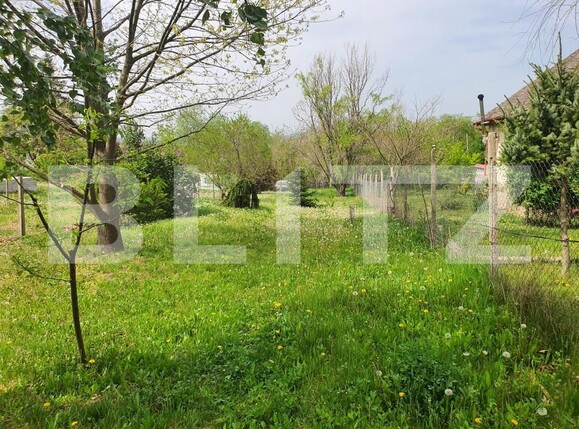 Teren de vânzare Periferie - 139103TV | BLITZ Pitești | Poza9