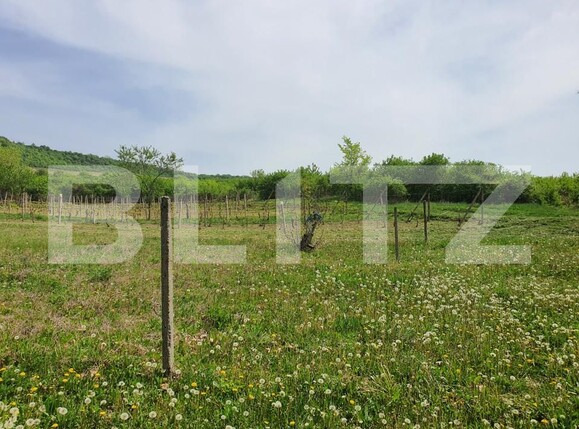 Teren de vânzare Periferie - 139103TV | BLITZ Pitești | Poza4