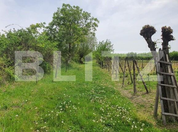 Teren de vânzare Periferie - 139103TV | BLITZ Pitești | Poza11