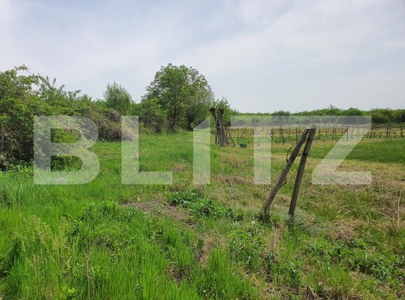 Teren de vânzare Periferie - 139103TV | BLITZ Pitești | Poza10