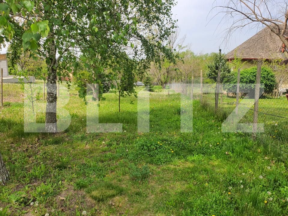 Teren de vânzare Periferie - 139103TV | BLITZ Pitești | Poza5