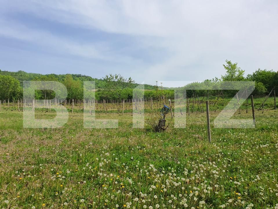 Teren de vânzare Periferie - 139103TV | BLITZ Pitești | Poza2