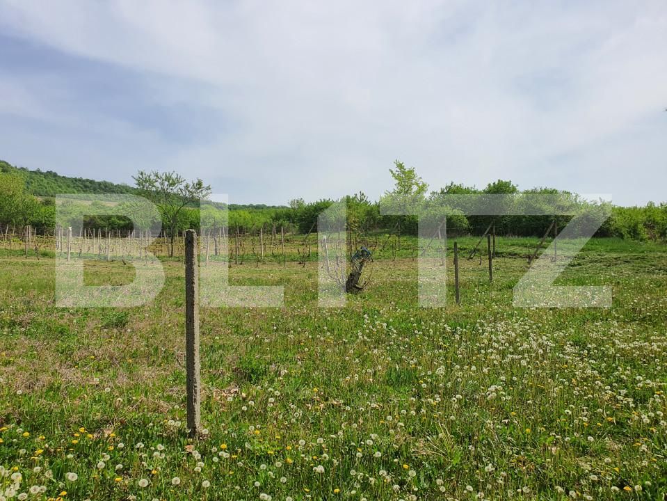 Teren de vânzare Periferie - 139103TV | BLITZ Pitești | Poza4