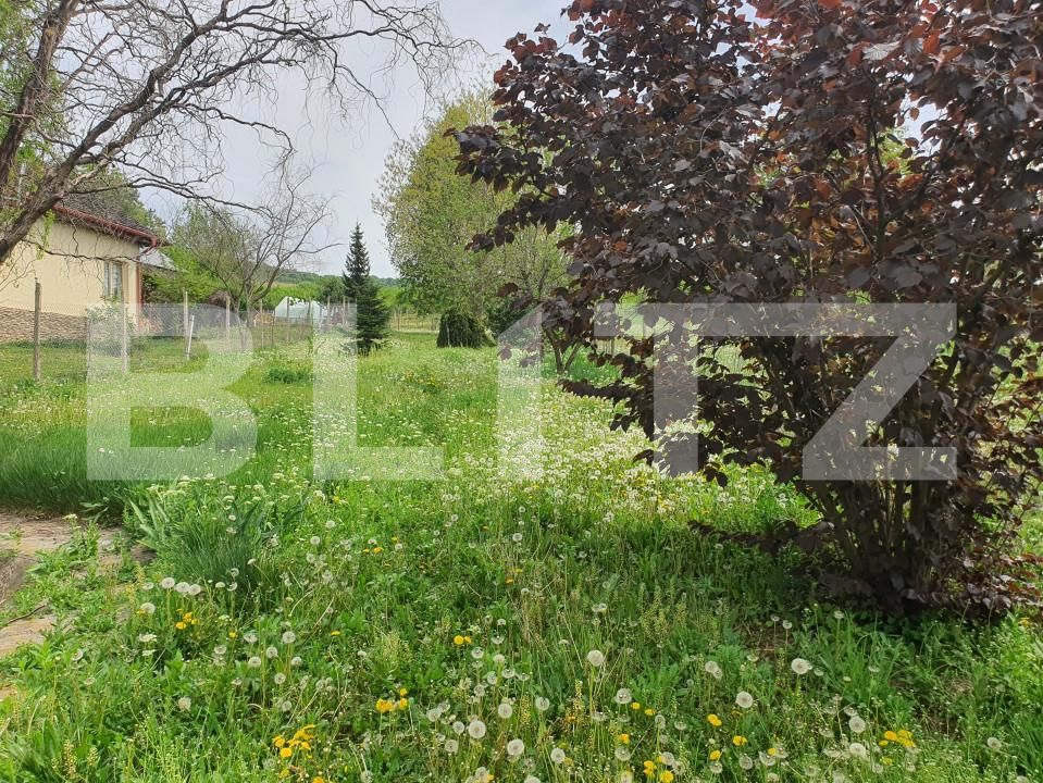 Teren de vânzare Periferie - 139103TV | BLITZ Pitești | Poza12