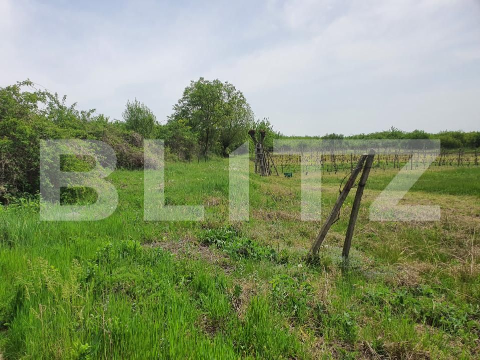 Teren de vânzare Periferie - 139103TV | BLITZ Pitești | Poza10