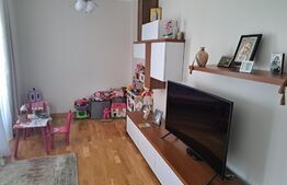 Apartament 2 camere, 65 mp, balcon, zona Teilor