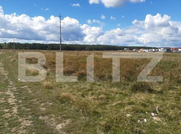 Teren de vânzare Trivale - 145820TV | BLITZ Pitești | Poza3