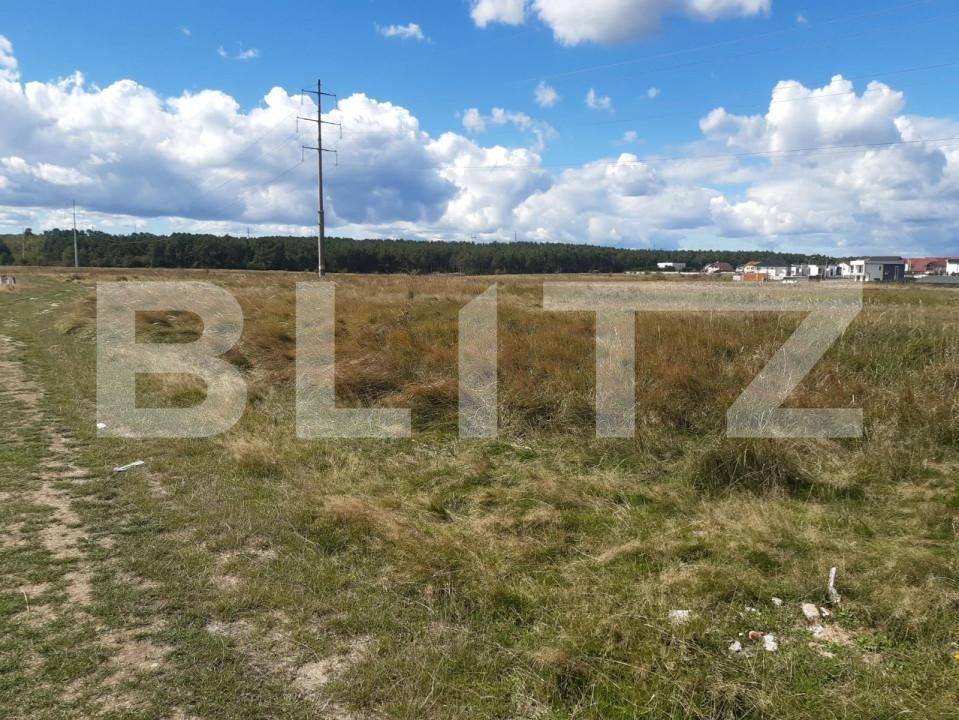 Teren de vânzare Trivale - 145820TV | BLITZ Pitești | Poza3