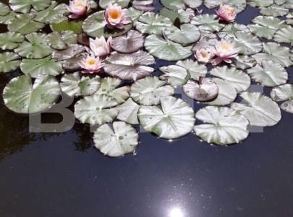 Casa de vânzare 6 camere Exterior Sud - 146032CV | BLITZ Pitești | Poza6