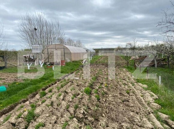 Casa de vânzare 6 camere Exterior Sud - 146032CV | BLITZ Pitești | Poza5