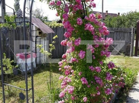 Casa de vânzare 6 camere Exterior Sud - 146032CV | BLITZ Pitești | Poza8