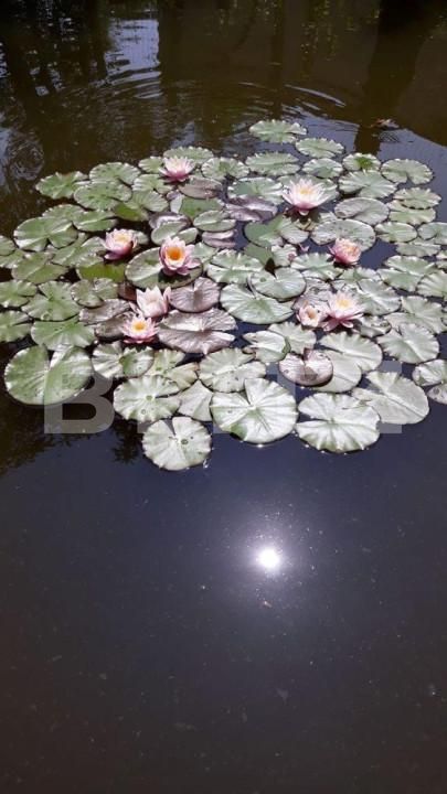 Casa de vânzare 6 camere Exterior Sud - 146032CV | BLITZ Pitești | Poza6