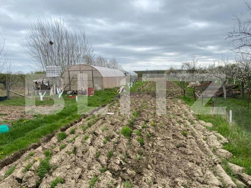 Casa de vânzare 6 camere Exterior Sud - 146032CV | BLITZ Pitești | Poza5