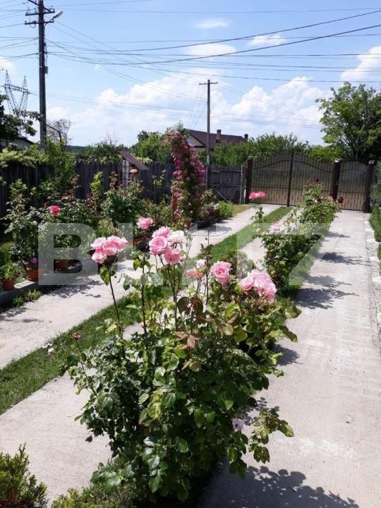 Casa de vânzare 6 camere Exterior Sud - 146032CV | BLITZ Pitești | Poza7