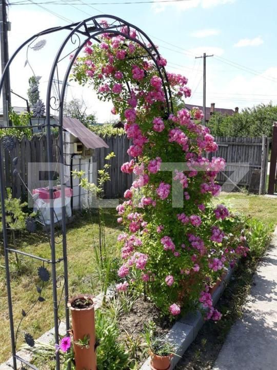 Casa de vânzare 6 camere Exterior Sud - 146032CV | BLITZ Pitești | Poza8