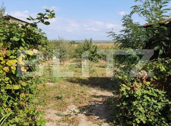 Teren de vânzare Exterior Est - 147000TV | BLITZ Pitești | Poza3