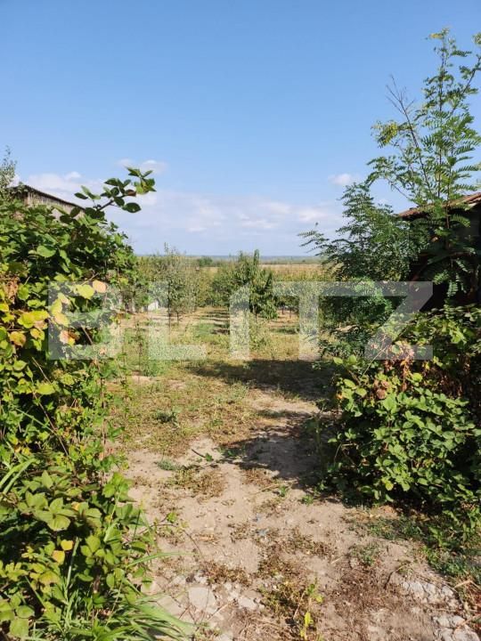 Teren de vânzare Exterior Est - 147000TV | BLITZ Pitești | Poza3