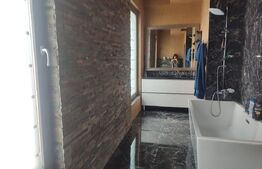 Apartament 3 camere, 210mp, Trivale 