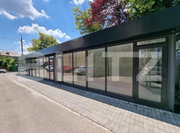 Spațiu comercial de închiriat Banat - 147494SIC | BLITZ Pitești | Poza2